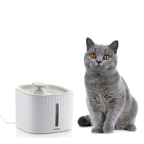 Fuente para mascotas InnovaGoods