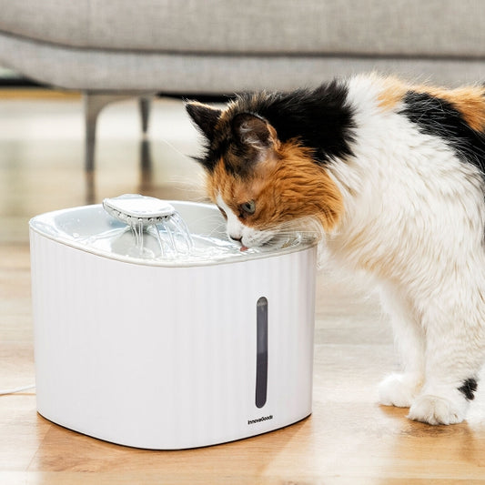 Fuente para mascotas InnovaGoods